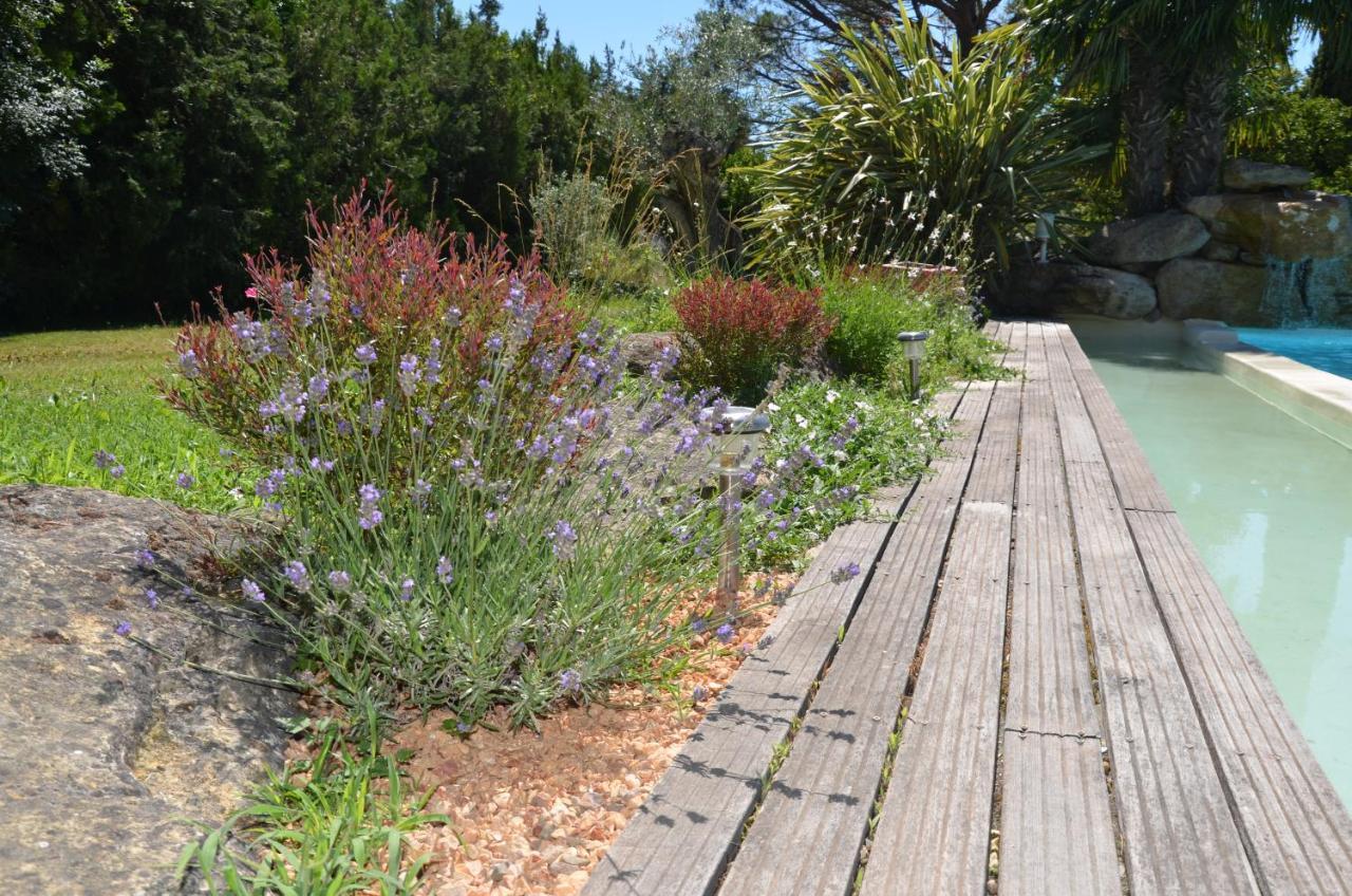 Mas De La Butte Blanche Bed & Breakfast Orgon Eksteriør bilde